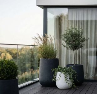 Едно дръвче у дома променя всичко – виж как да го използваш