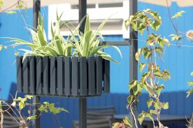 BOAREE FANCY  Балкониера  за цветя с напоителна система 58см, антрацит