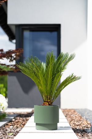 Flower pot Milly DBMIN400, pine green